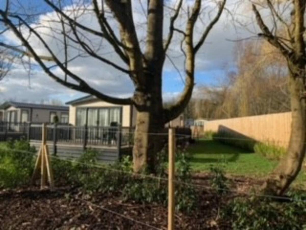 Captivating Bluebell Lodge 2-Bed Cotswolds Caravan Cirencester Luaran gambar